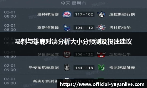 雨燕体育直播
