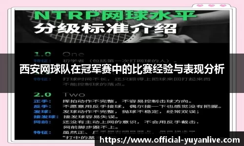 雨燕体育直播APP