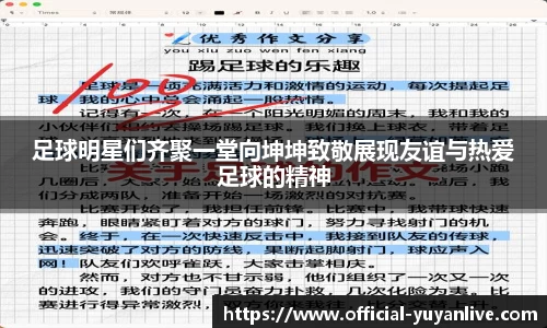 雨燕体育直播