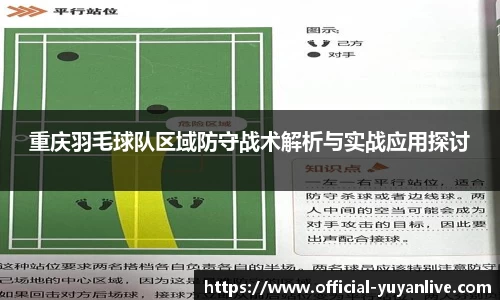 雨燕体育直播平台