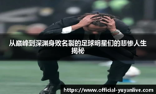 雨燕体育直播APP