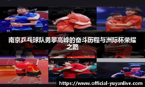 雨燕体育直播APP