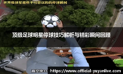 雨燕体育直播官方网站