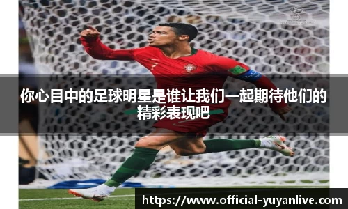 雨燕体育直播平台