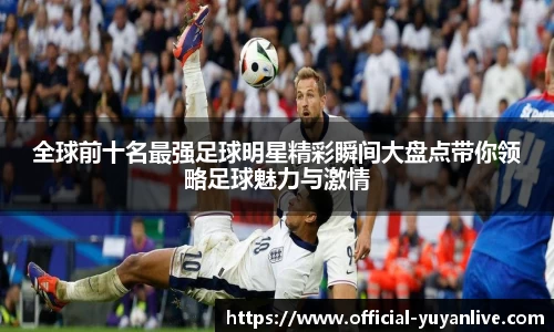 雨燕体育直播平台