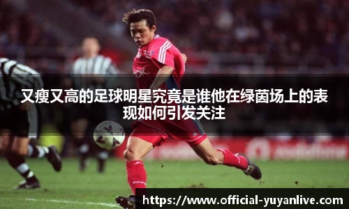 雨燕体育直播平台